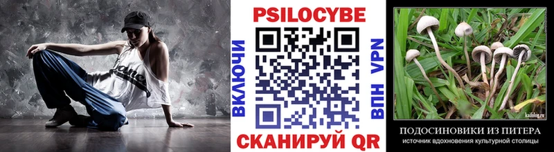 Псилоцибиновые грибы прущие грибы  закладка  Серов 